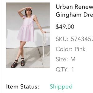 Urban Renewal Pink gingham dress